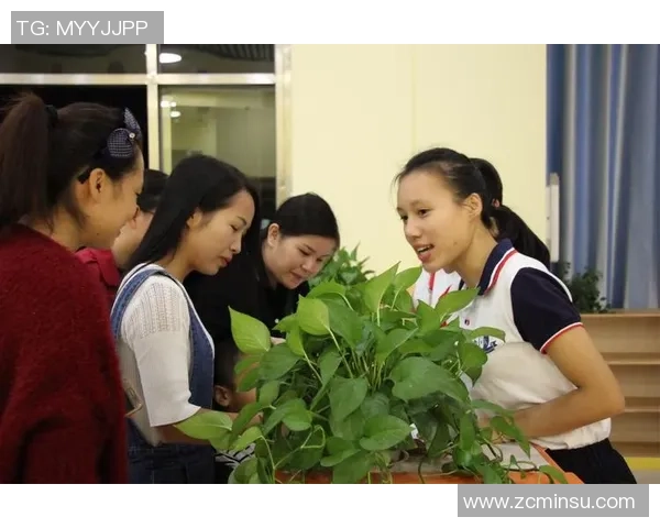 足球明星玩偶盲盒热潮来袭让你与偶像零距离互动的全新体验